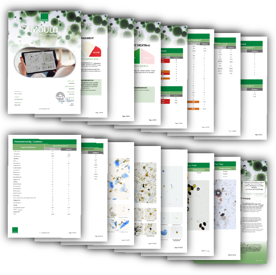 AirTrap® Swabs – Schimmelpilz-Oberflächentest mit KI-Analyse (10 Proben)