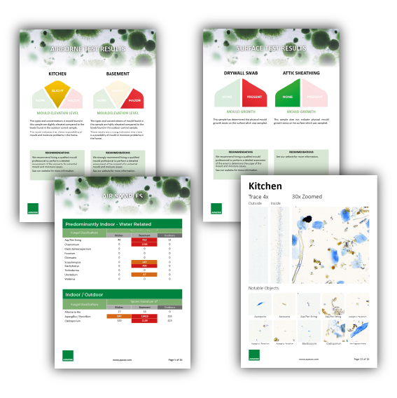 AirTrap® Swabs – Schimmelpilz-Oberflächentest mit KI-Analyse (10 Proben)